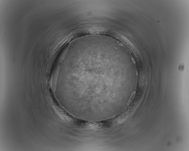 X0000097460405200802221218