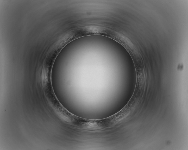 X0000097460406200802221218
