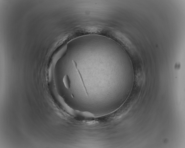 X0000097460407200802221218