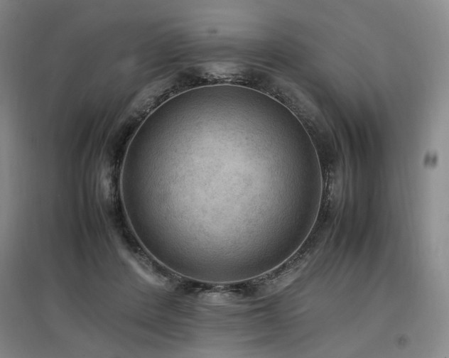 X0000097460408200802221218