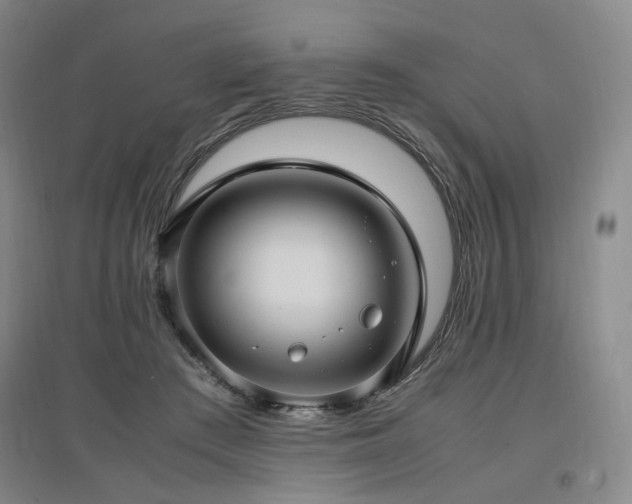 X0000097460409200802221218