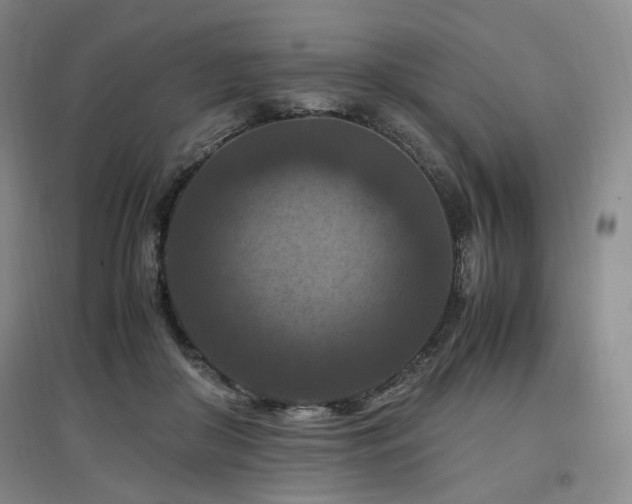 X0000097460410200802221218