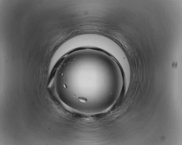 X0000097460411200802221218