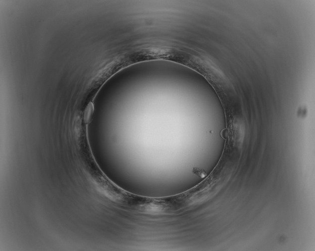 X0000097460412200802221218