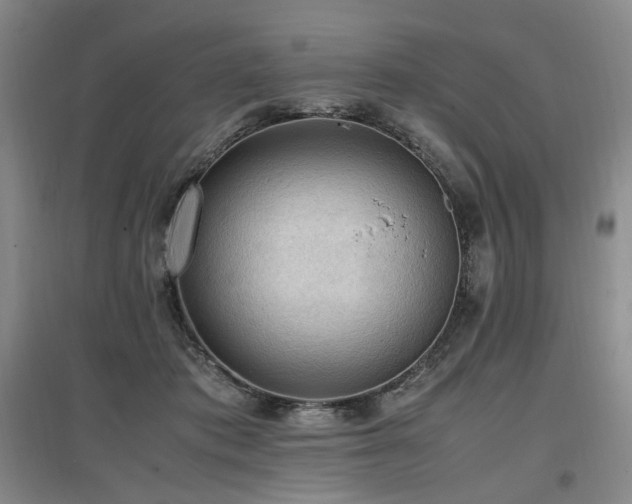 X0000097460413200802221218