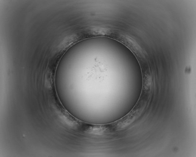 X0000097460414200802221218