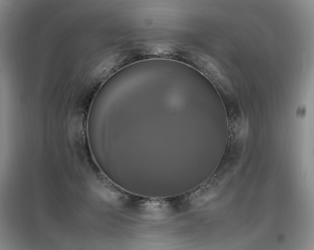 X0000097460415200802221218