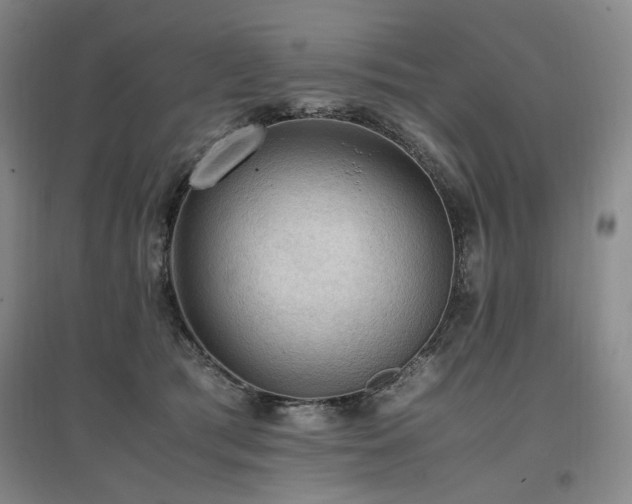 X0000097460417200802221218