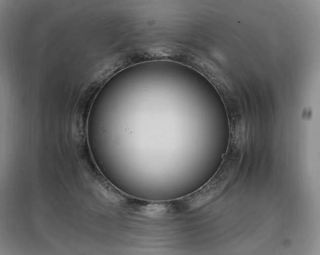 X0000097460418200802221218