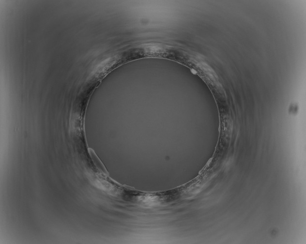 X0000097460419200802221218