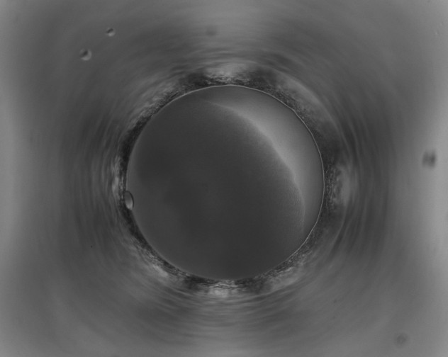 X0000097460420200802221218
