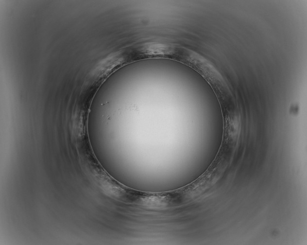 X0000097460422200802221218