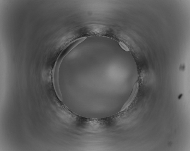 X0000097460423200802221218