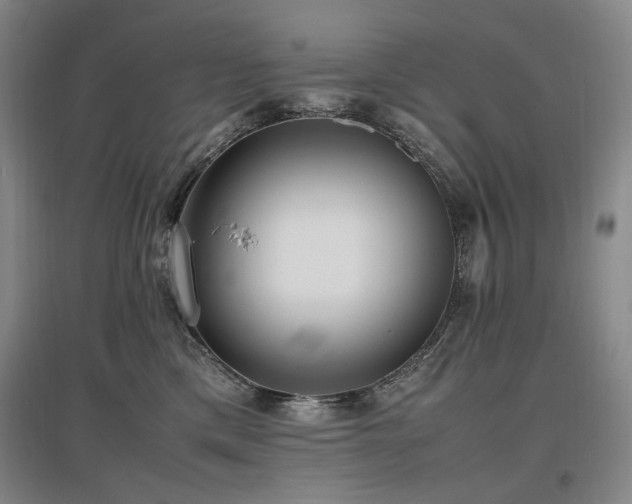 X0000097460425200802221218