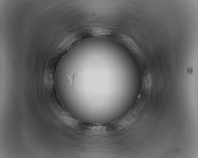 X0000097460426200802221218