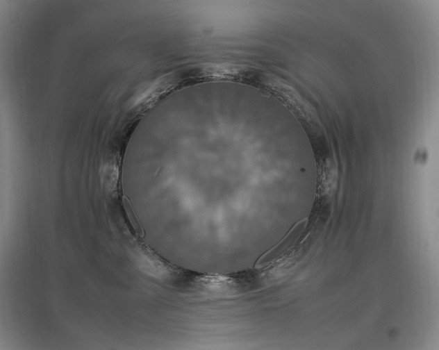 X0000097460427200802221218