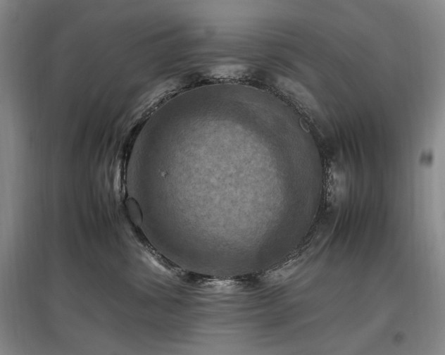 X0000097460428200802221218