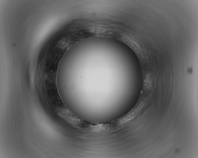 X0000097460430200802221218