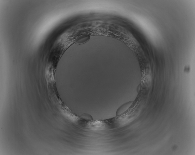 X0000097460431200802221218