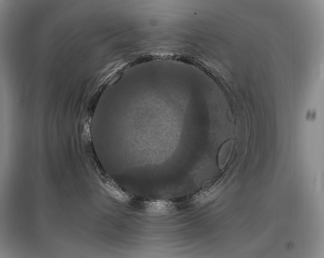 X0000097460432200802221218
