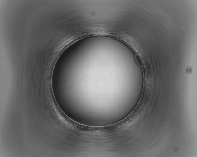 X0000097460433200802221217