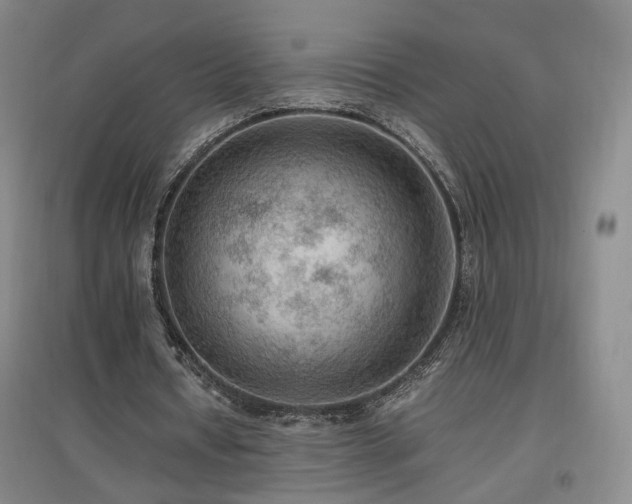 X0000097460434200802221217
