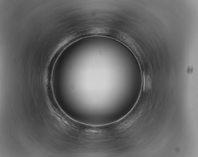 X0000097460435200802221217