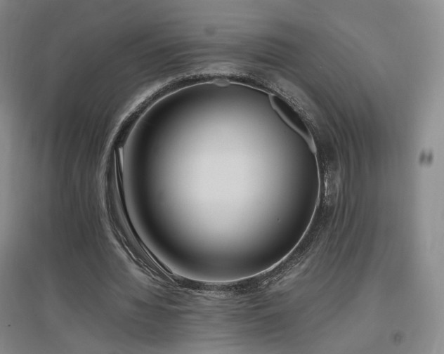 X0000097460436200802221217