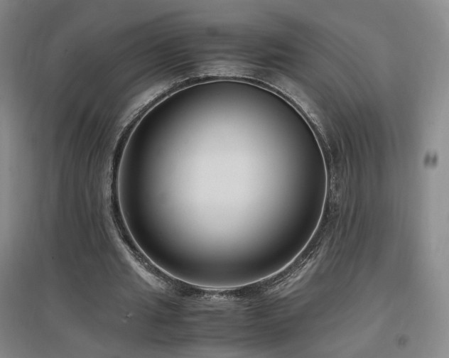 X0000097460437200802221217
