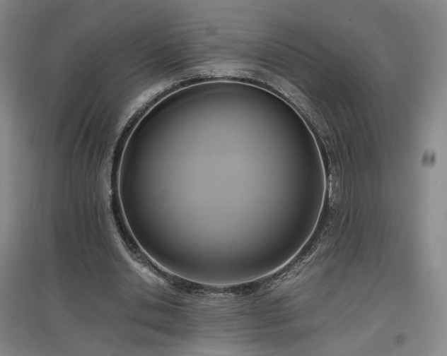 X0000097460438200802221217