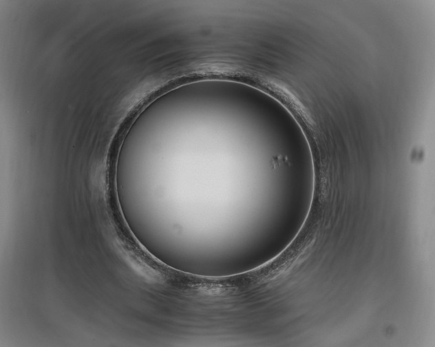 X0000097460439200802221217
