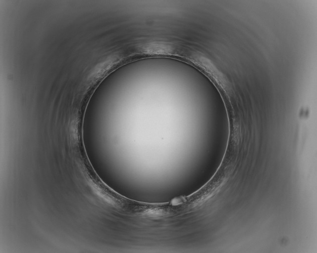 X0000097460441200802221217