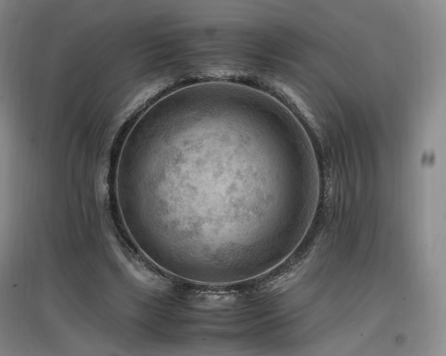 X0000097460443200802221217