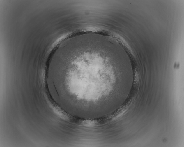 X0000097460444200802221217
