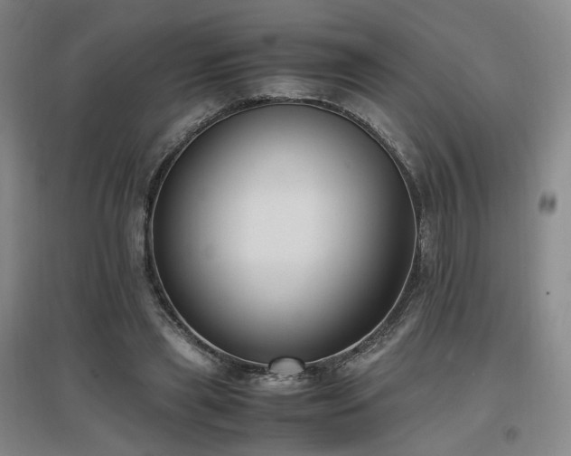 X0000097460445200802221217