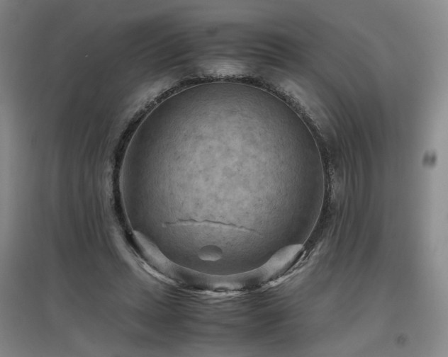 X0000097460447200802221217