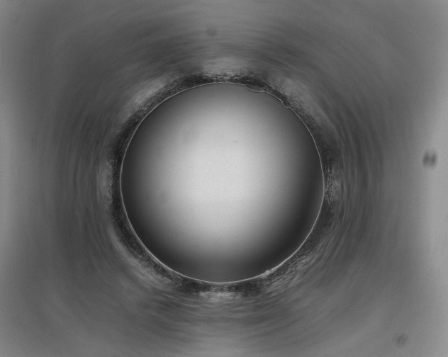 X0000097460448200802221217