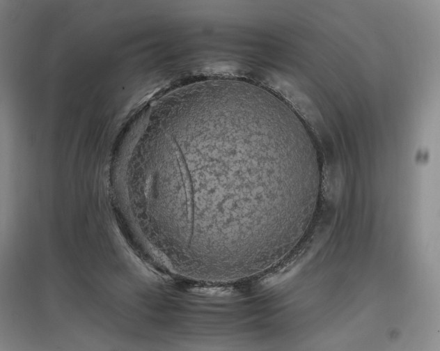 X0000097460449200802221217