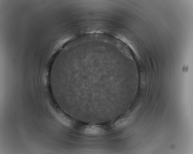 X0000097460451200802221217