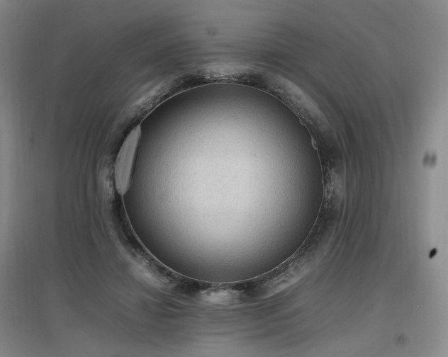X0000097460452200802221217
