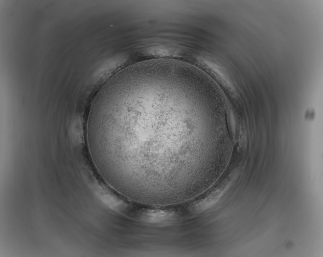 X0000097460453200802221217