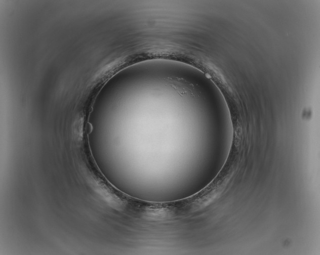 X0000097460454200802221217
