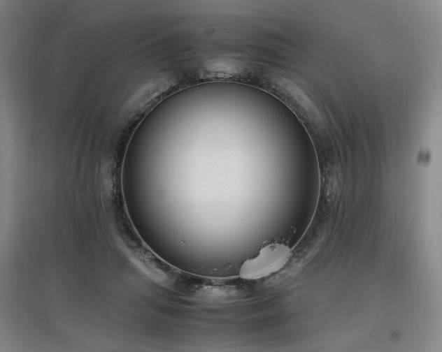 X0000097460455200802221217