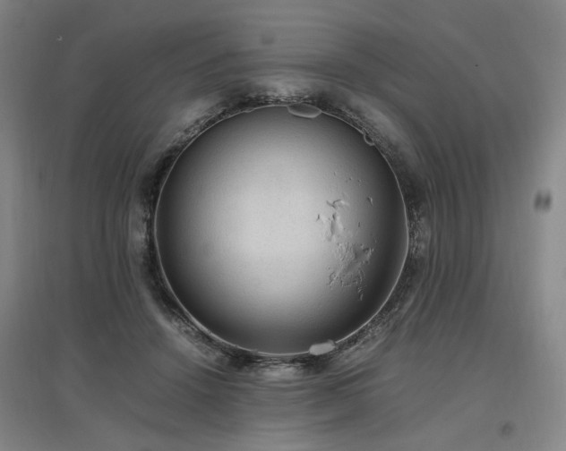 X0000097460456200802221217