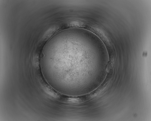 X0000097460457200802221217