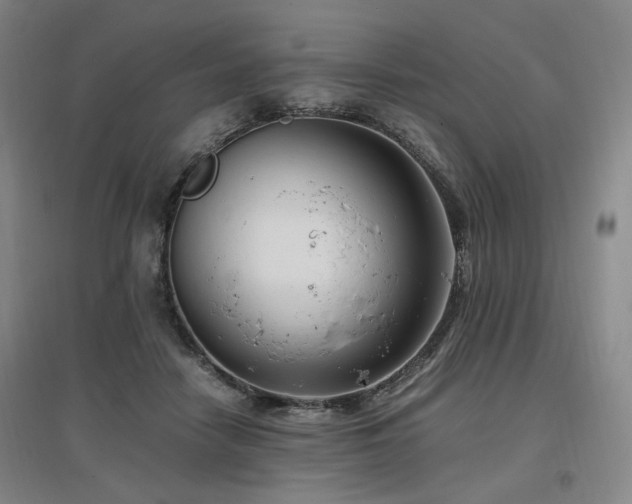 X0000097460458200802221217