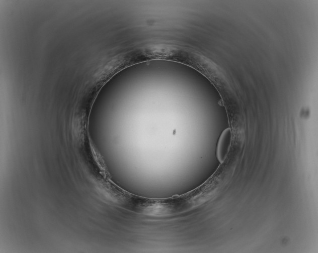 X0000097460460200802221217