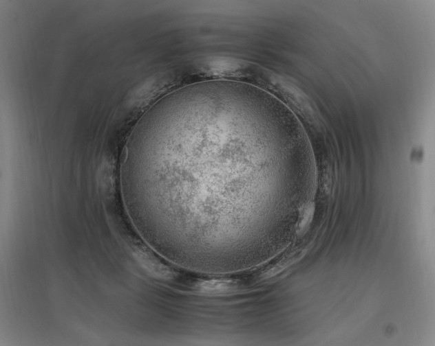 X0000097460461200802221218