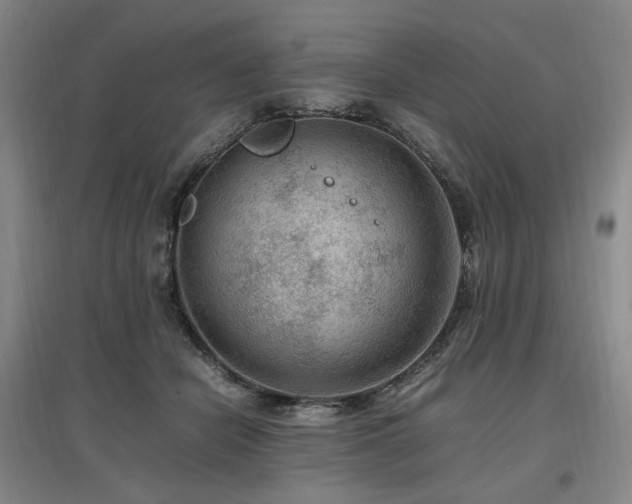 X0000097460462200802221218