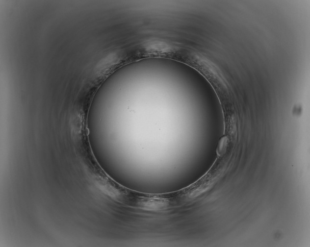 X0000097460463200802221218